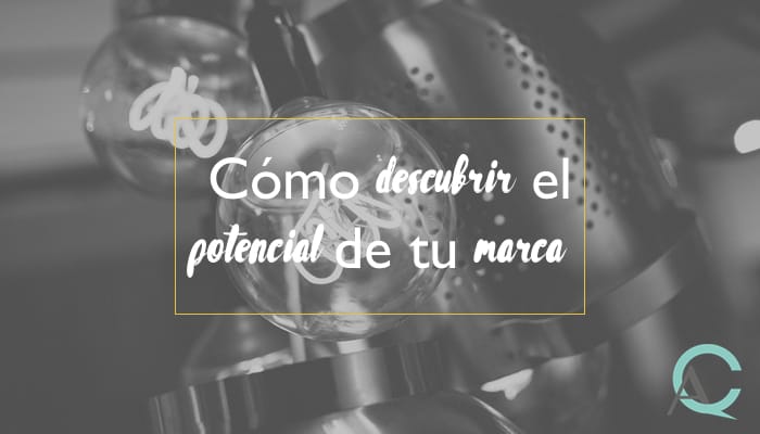 Cómo descubrir el potencial de tu marca