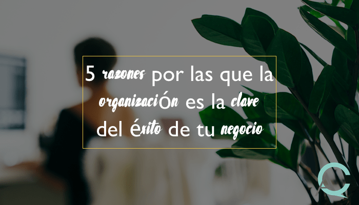 5 razones por las que la organización es la clave del éxito de tu negocio
